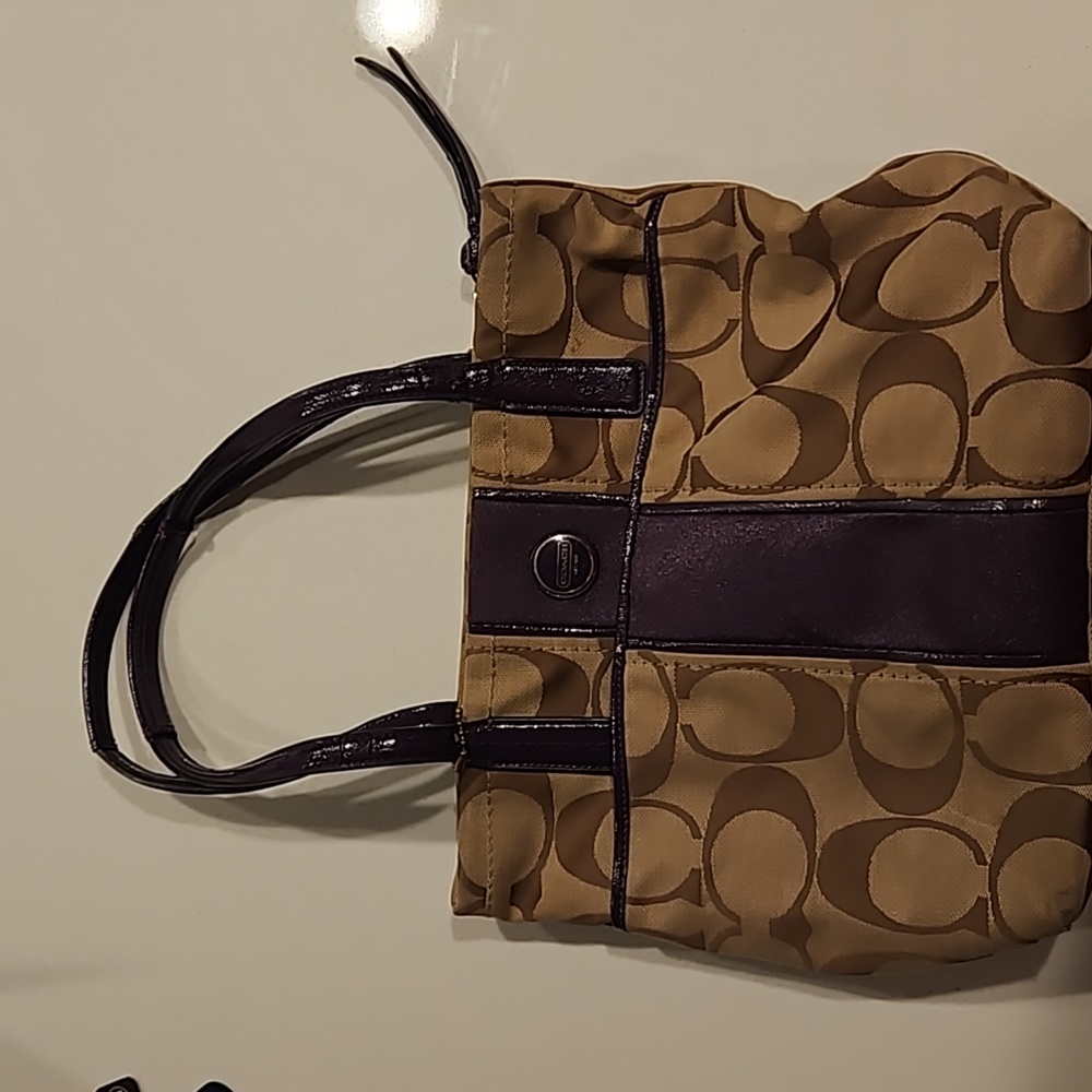 Coach Signature Stripe Tote